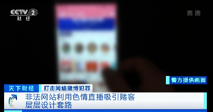 博彩公司的预测结果吸引关注