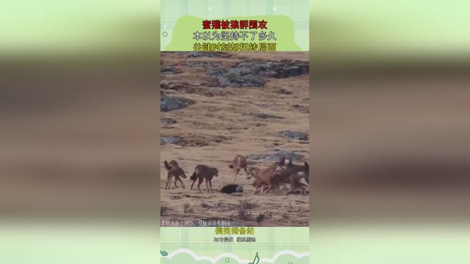 狮鹫队客场取胜,关键时刻稳住局面 狮鹫队客场取胜,关键时刻稳住局面