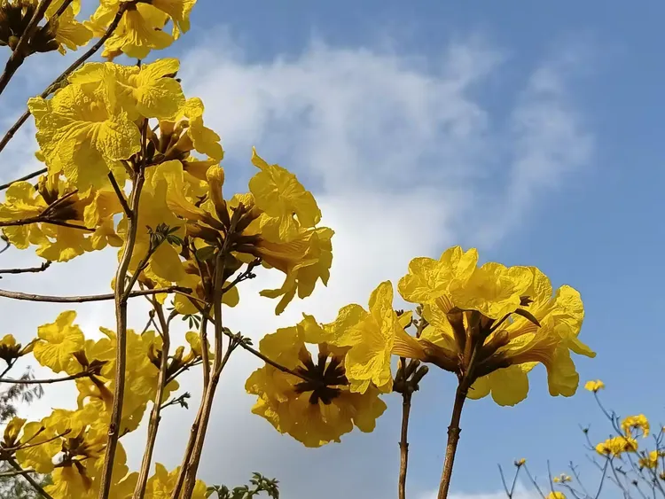 韶关胜利在望，全队备受期待