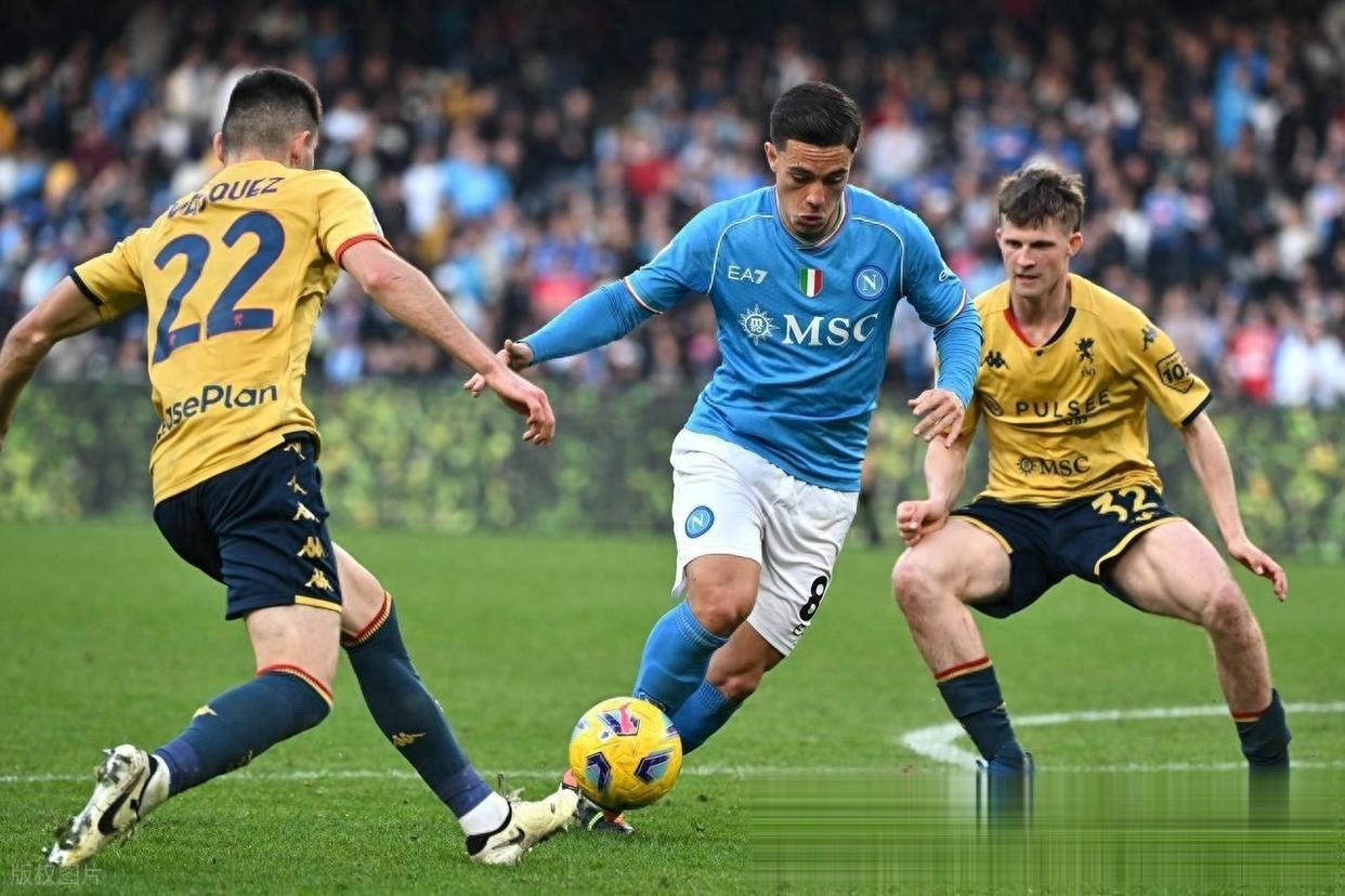 亚特兰大主场击败那不勒斯,继续追赶 亚特兰大主场击败那不勒斯,继续追赶