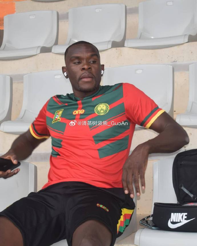 非洲国家杯尼日利亚对阵喀麦隆队 非洲国家杯尼日利亚对阵喀麦隆队